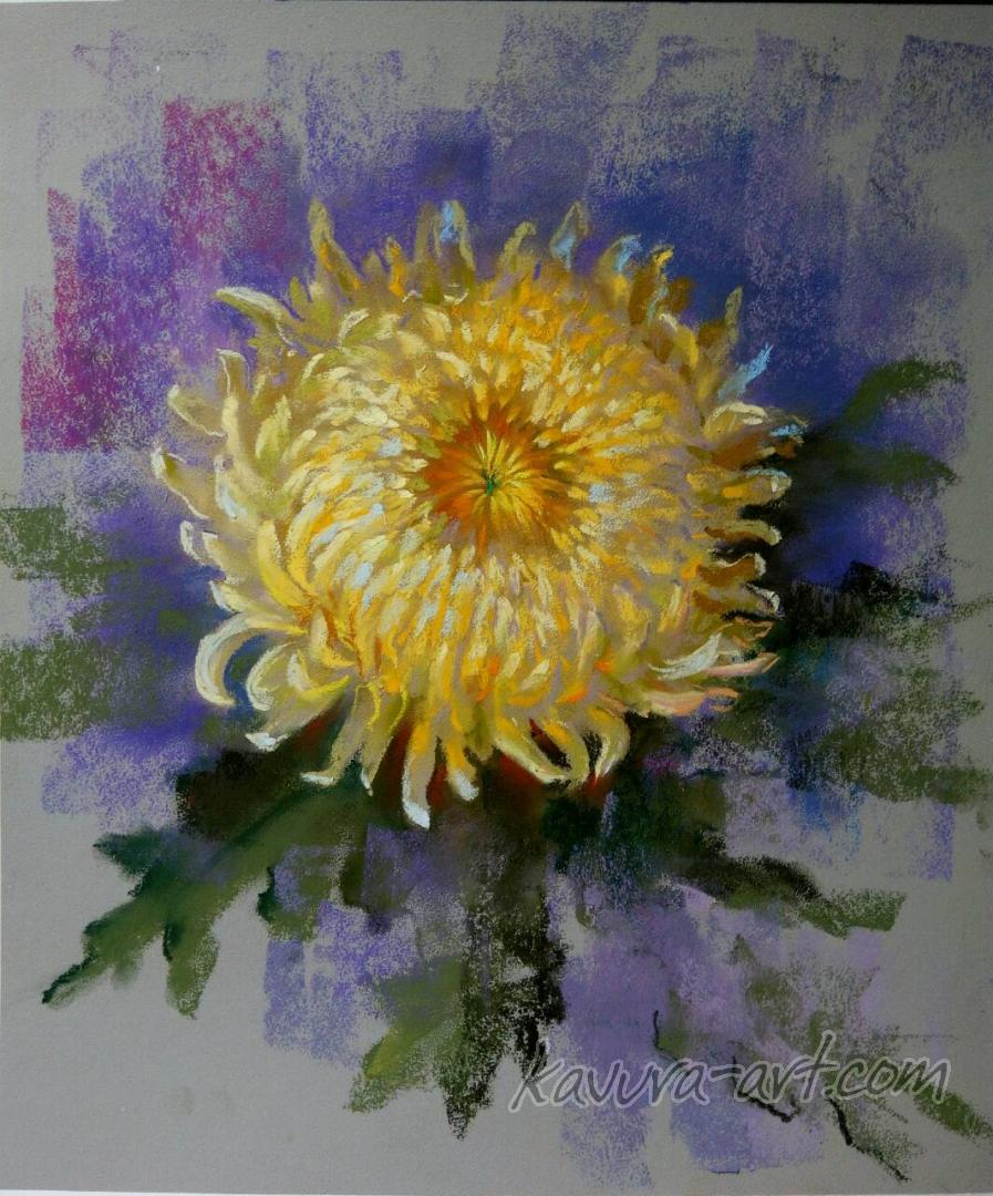 "Chrysanthemum" Pastel on paper.