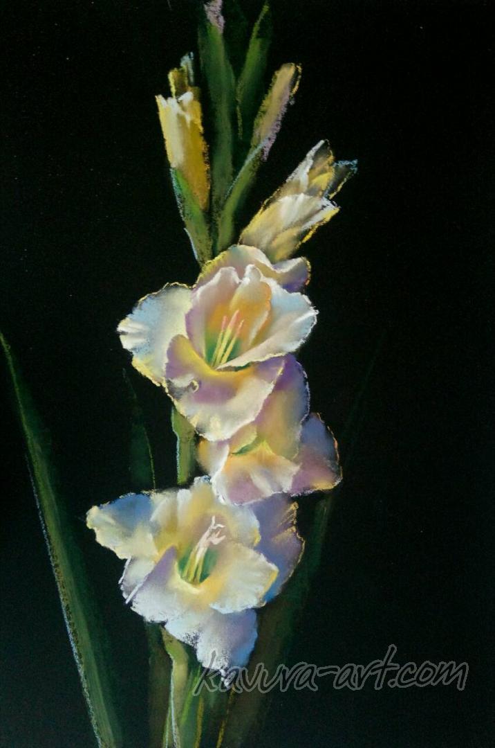 "White Gladiolus" Pastel on paper.