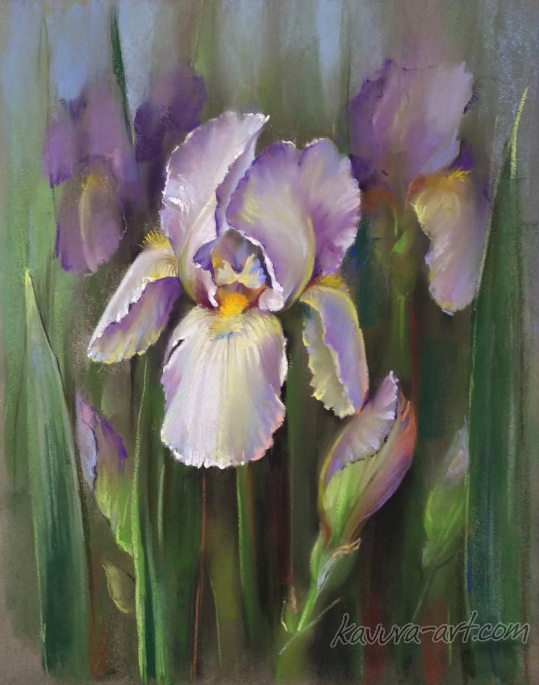 "Iris" Pastel on paper.