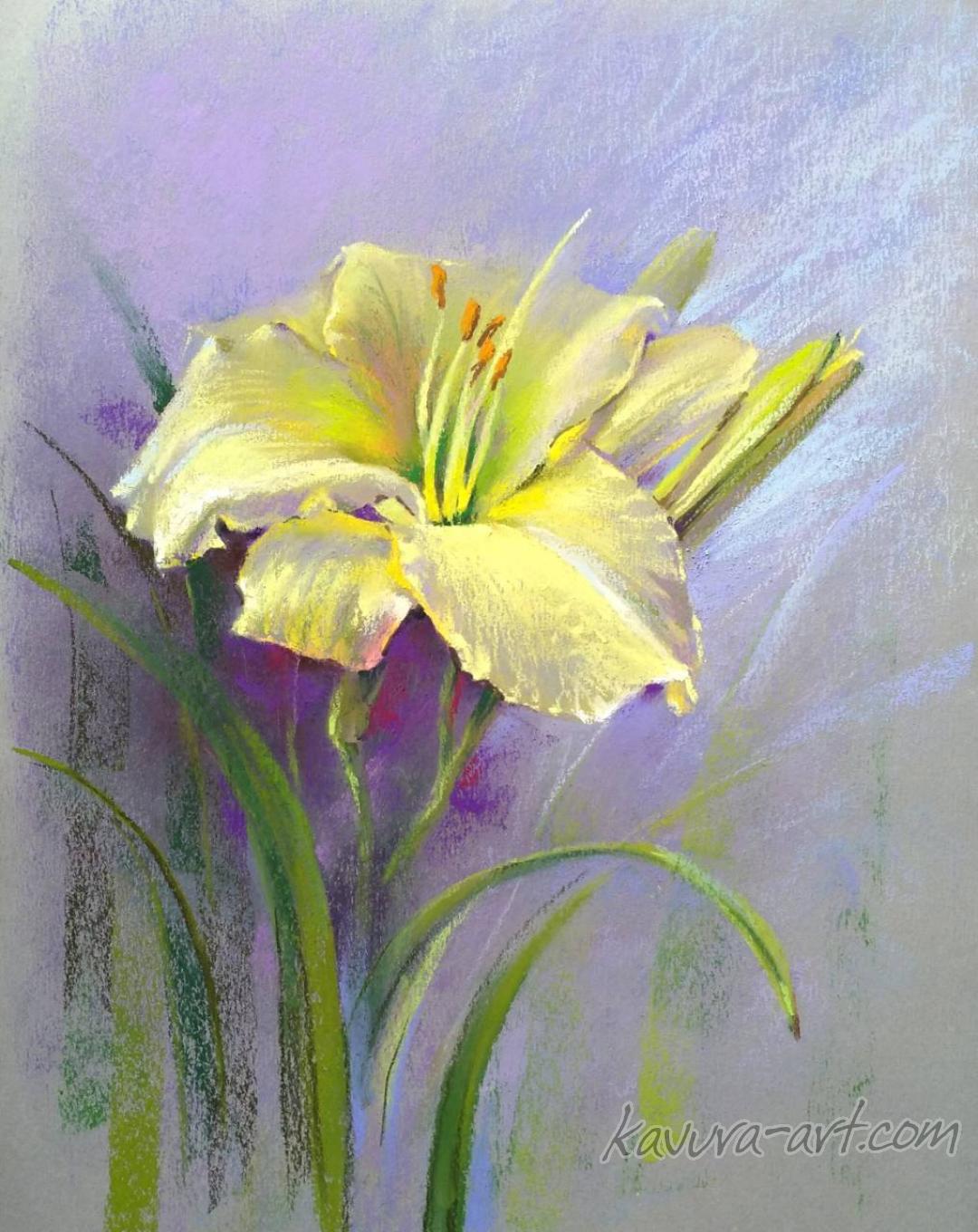 "Lilium" Pastel on paper.