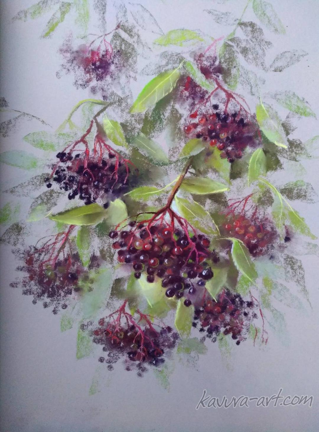 "Еlderberry" Pastel on paper.