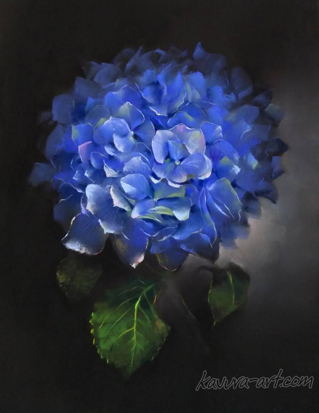 "Blue hydrangea" Pastel on paper.