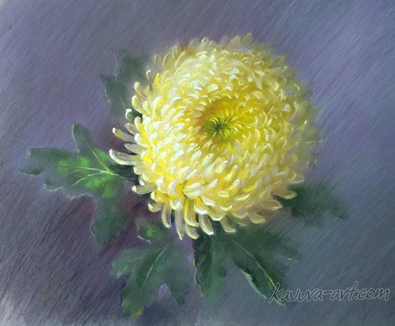 "Chrysanthemum" Pastel on paper.