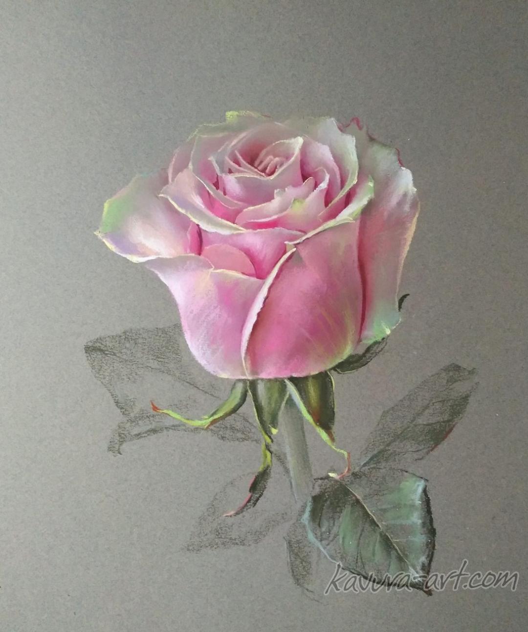"Rose in winter light" Pastel on paper.
