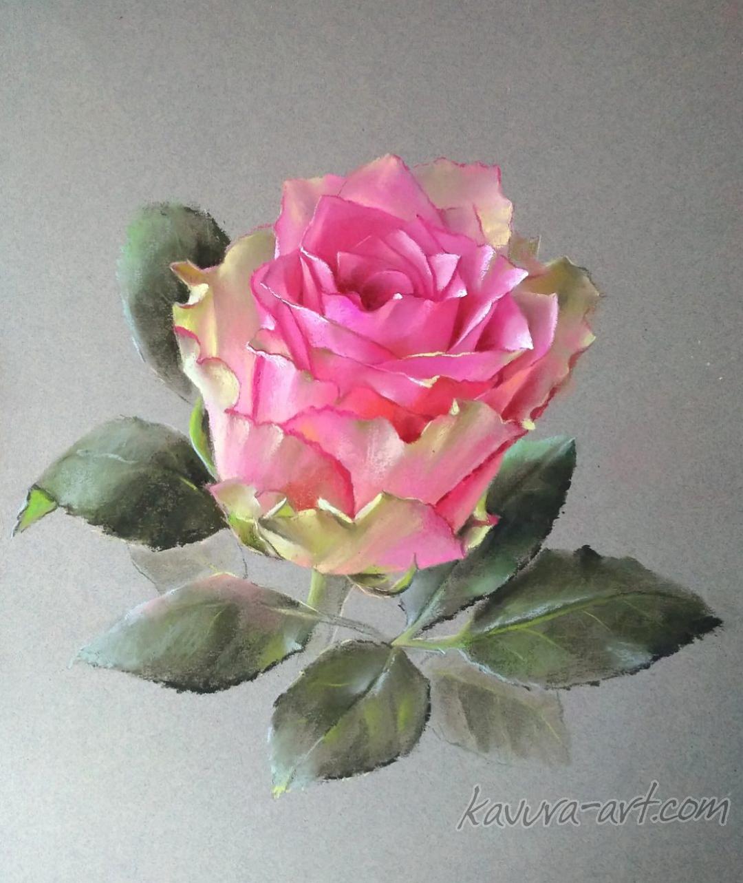"Pink rose" Pastel on paper.