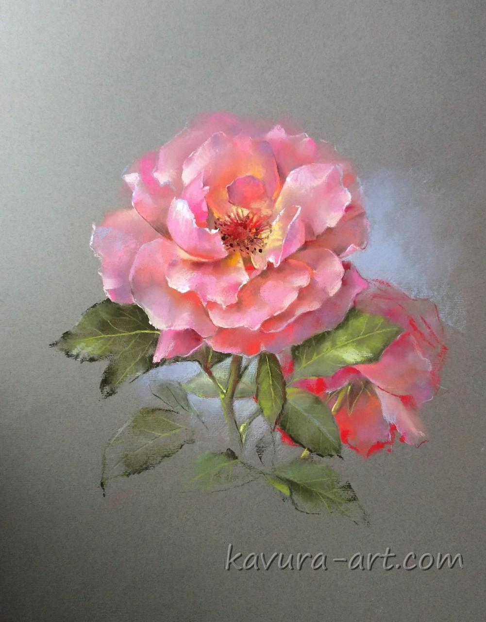 "Rose " Pastel on paper.