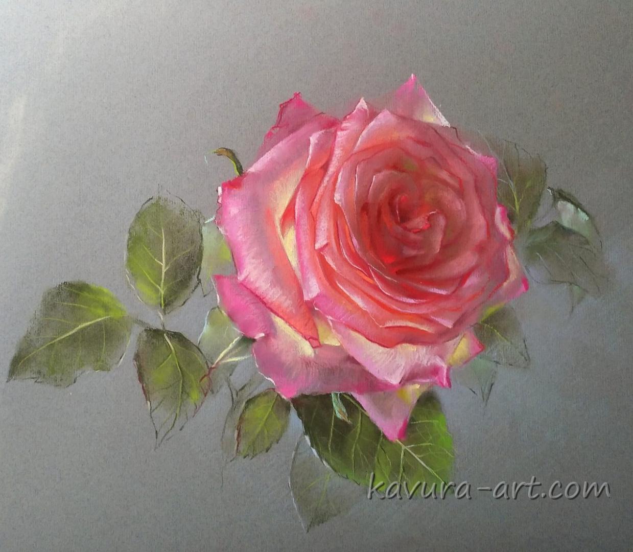 "Rose " Pastel on paper.