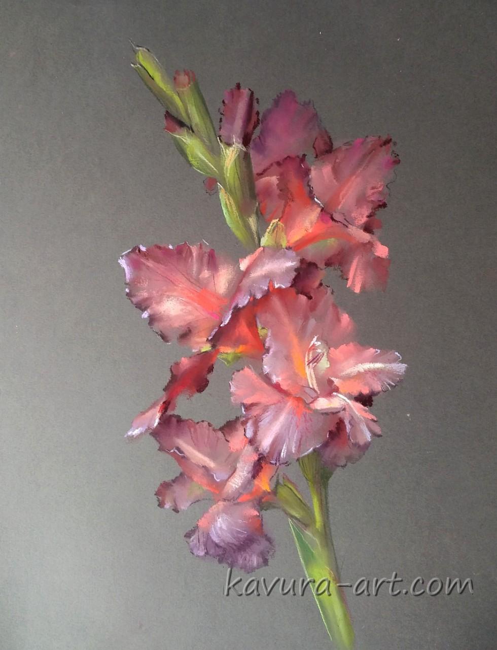 "Gladiolus" Pastel on paper.