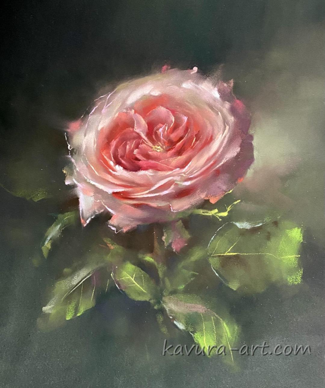 "Tender rose" Pastel on paper.