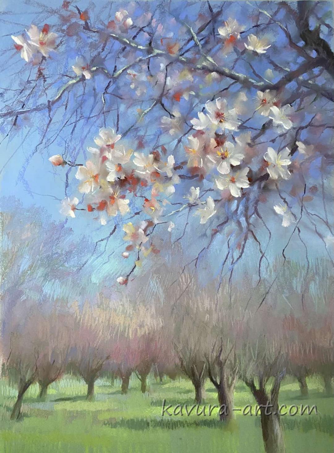 "Almond blossom" Pastel on paper.