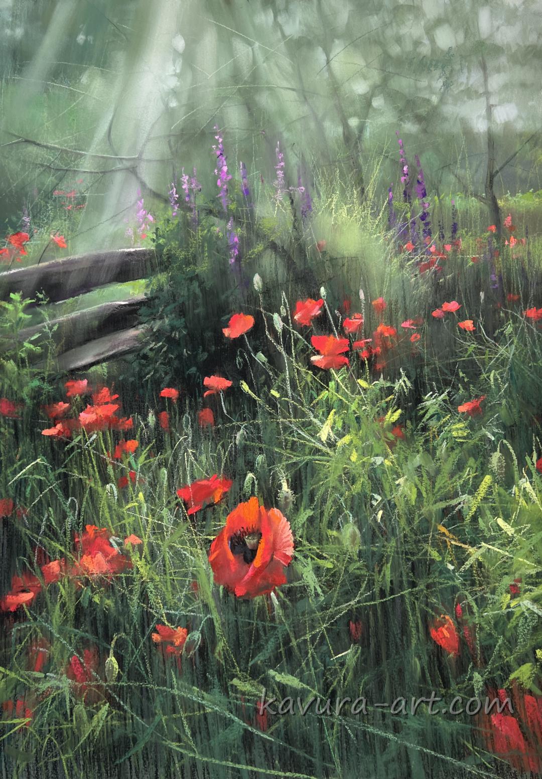"Poppies from my garden" Pastel on paper.