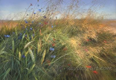 "Fields of Ukraine"