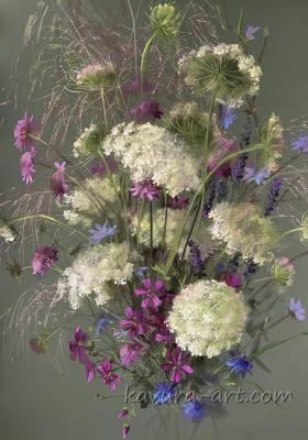 "Queen Anne’s lace"